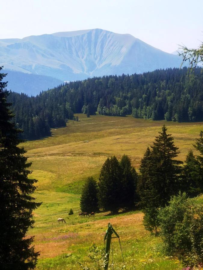Chamrousse-sport&detente 6 Couchages Avec Superbe Vue * Chamrousse